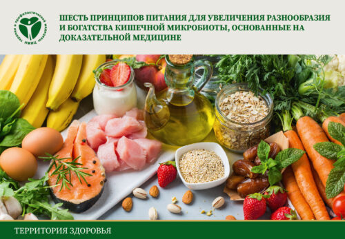 Шесть принципов питания для увеличения разнообразия и богатства кишечной микробиоты, основанные на доказательной медицине — ФГБУ «НМИЦ ТПМ» Минздрава России