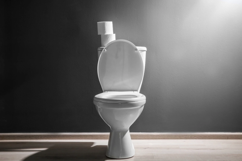 Акции производителя унитазов Toto взлетели на 18% из-за планов по ИИ
