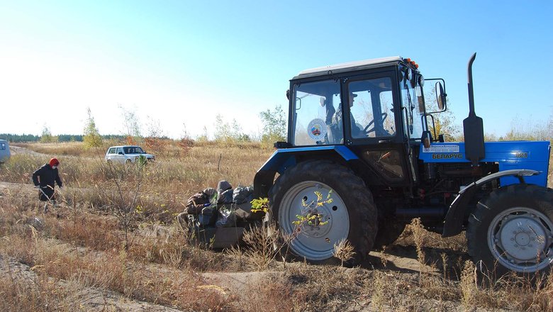 В Воронежской области этой весной посадили лес на площади 1064 гектара